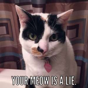 Your meow is a lie2