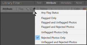 lrflags5